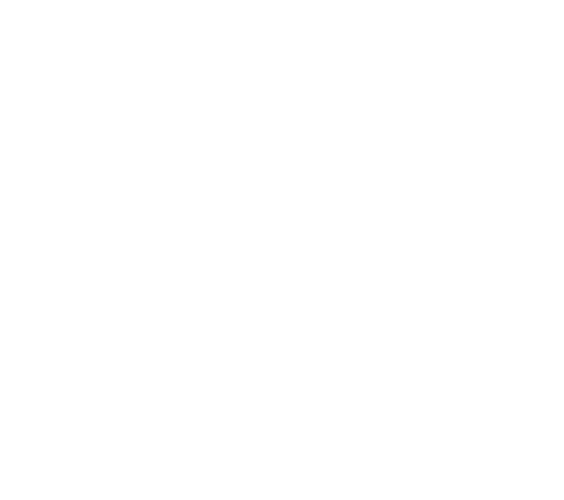 SC Flag